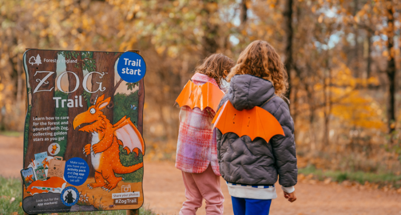 Zog Activity Trail Westonbirt Arboretum